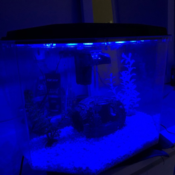 6.7 gallon fish tank (like new) - Picture 2 of 8